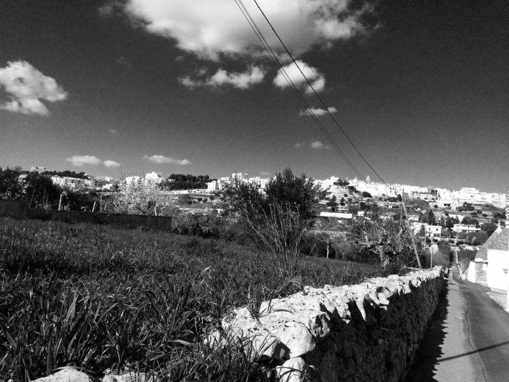 Pensjonat Il Piccolo Trullo Cisternino Pokój zdjęcie